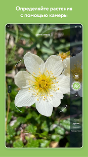 Flora Incognita Screenshot