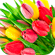 愛の花のステッカー - Androidアプリ