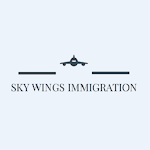 Cover Image of डाउनलोड Sky Wings 1.0.1 APK