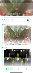 Plant More