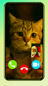 Cat fake video call