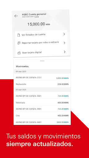 HSBC México Screen 2
