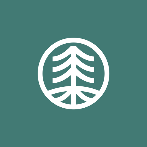 The Ave Church logo