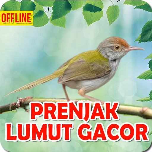 Suara Prenjak Lumut Gacor Mp3 logo