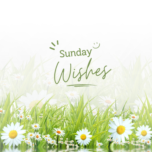Happy Sunday Wishes logo