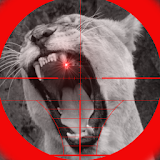 Lion Attack 3D icon