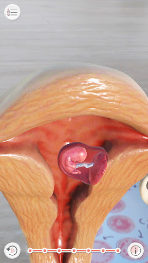 Android application Baby cards AR+ screenshort