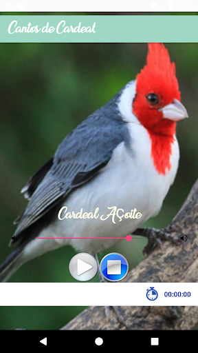 Cantos de Cardeal Screen 2