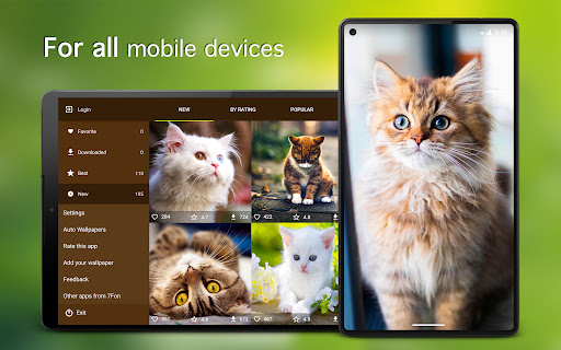 Screenshot of Cat Wallpapers & Cute Kittens