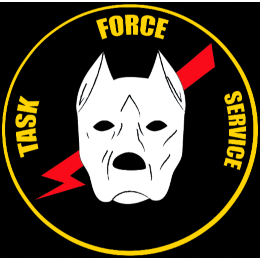 Task Force Service logo