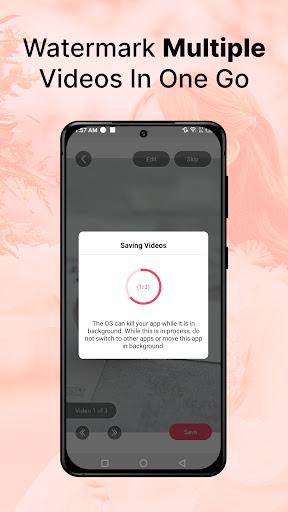 Screenshot of eZy Watermark Videos Pro