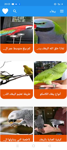ببغاء Screen 3