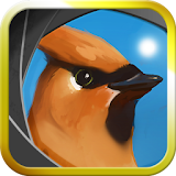 Camera Birds™ icon