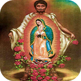 Day Of Virgen De Guadalupe icon