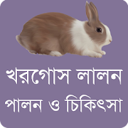 খরগোস লালনপালন ও চিকিৎসা - Rabbit Care & Treatment
