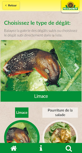 Docteur des plantes Screen 3