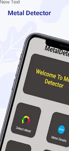Metal Detector: Magnetometer