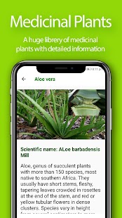Herbal Home Remedies and Natur Screenshot