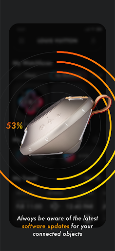 Screenshot of Louis Vuitton Connect