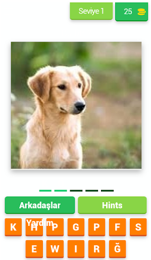 Android application Hayvanlar Alemi Eğitici Bilgi screenshort