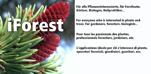 iForest - Trees and shrubs