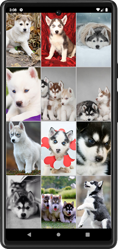 Husky Puppies Wallpapers Screen 3