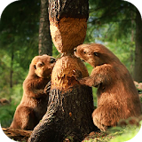 Forest Animals Beaver LiveWP icon