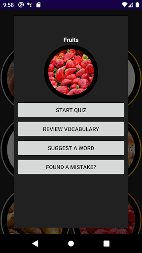 Portuguese Vocabulary Screen 3