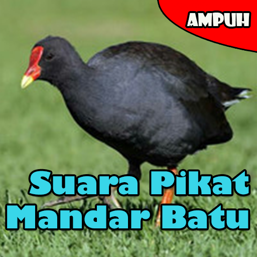 Suara Pikat burung Mandar Batu logo