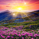 Download Hidden Object - Summer Serenity Install Latest APK downloader