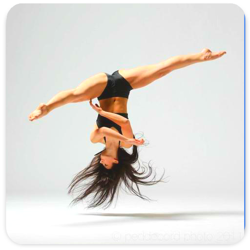 Gymnastics Training Guide logo