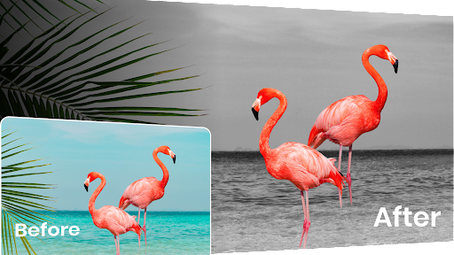 Color Pop Effects Photo Editor - Photography - apps