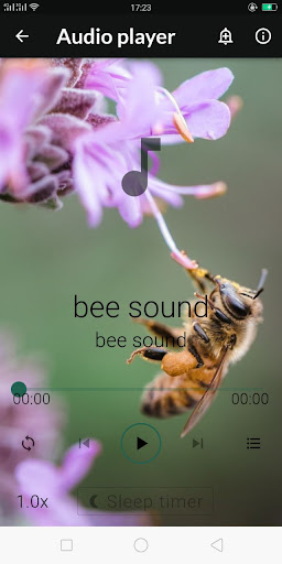 bee sound