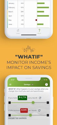 Screenshot of 4Ducks: Budget & Bill tracker