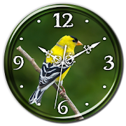 American Goldfinch Clock LWP  Icon