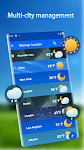 screenshot of Local Weather Alerts - Widget