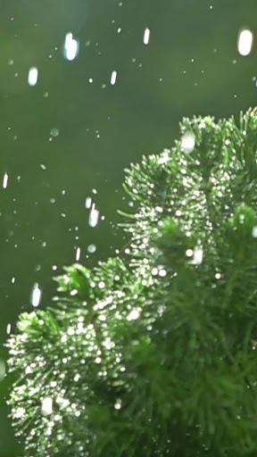 Android application slow motion wallpaper screenshort