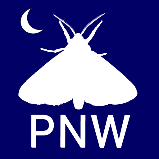 PNW Moths logo