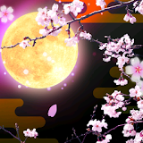Cherry Blossoms at Night Trial icon