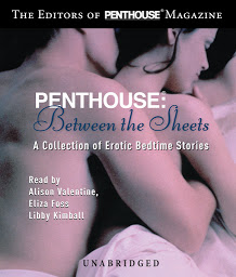 Icon image Between the Sheets: A Collection of Erotic Bedtime Stories