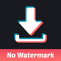 Wall Picture for Tik Tok - Downloader No Watermark