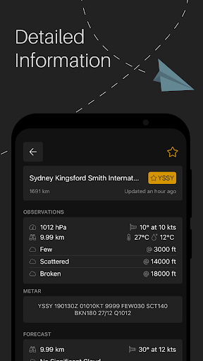 METAR Screen 3