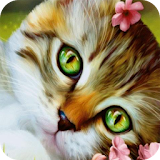 Kitty with flowers live wp icon