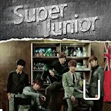 [SSKIN] Super Junior Chasing 3 icon