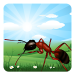 Cover Image of Download Ant Farm  APK