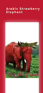 Arabic Strawberry Elephant