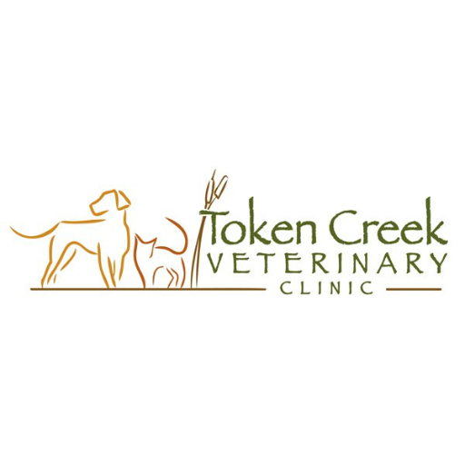 Token Creek Vet Clinic 300000.3.34 Icon
