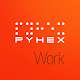 PYHEX Portal Windowsでダウンロード