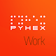 PYHEX Portal ดาวน์โหลดบน Windows