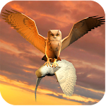 Cover Image of Tải xuống Clan of Owl 1.1 APK